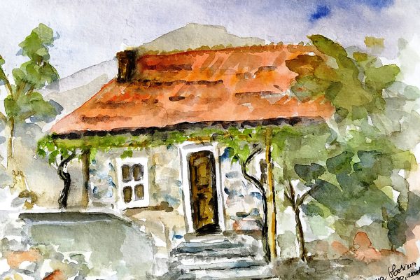Bukovci24